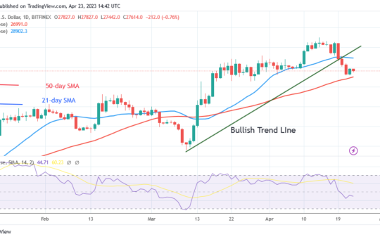 Bitcoin Price Prediction for Today, April 23: BTC Price Falters at $28K Resistance
