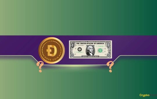 Can DOGE Reach $1 This Bull Run?