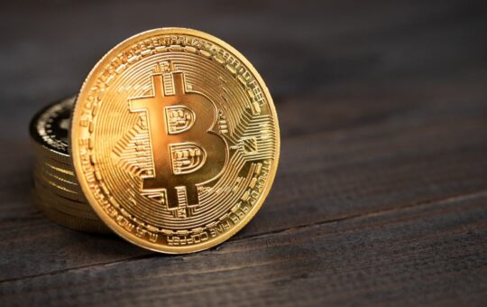 Bitcoin to Reach $87K in 2024 and $383K by 2030, Finder Survey Predicts