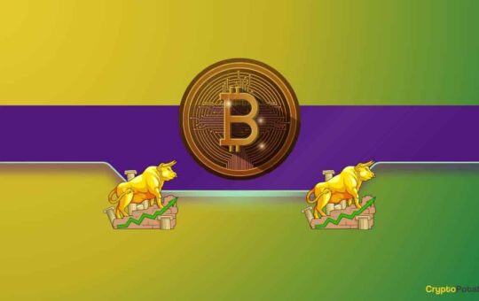 Four Reasons Why Bitcoin (BTC) Bull Run Could be Incoming