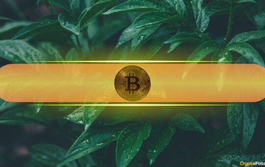 This Has to Happen for Bitcoin to Soar Past $58K: Santiment