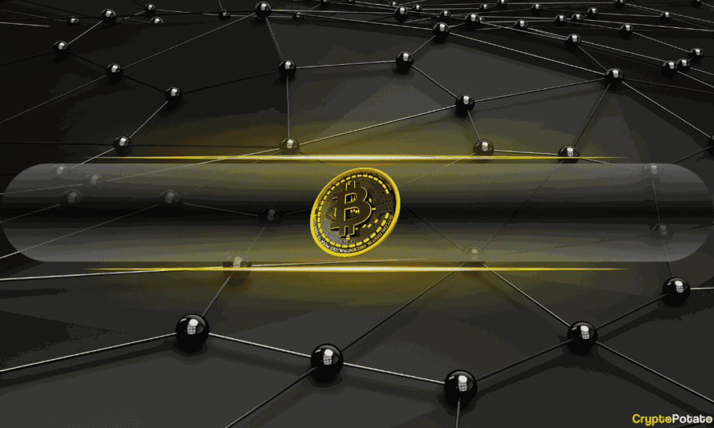 Bitcoin Could Unlock New Local Highs if This Happens: CryptoQuant
