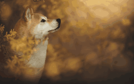 Shiba Inu, Pepe, Dogecoin Explode by Double Digits, Total Liquidations Up to $150M
