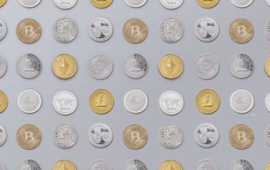 Scam ads targeting Usual Protocol emerge on Google