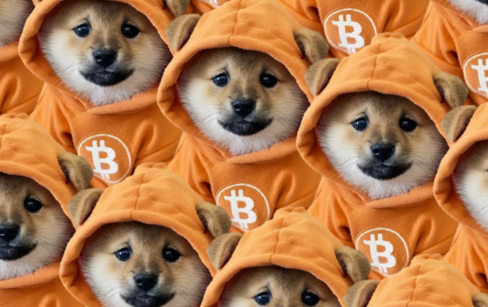 Why Bitcoin's Biggest Meme Coin Just Bridged Over to Solana