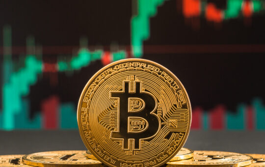 Bitcoin ETF investors hold strong despite a 25% BTC price drop: Here's why