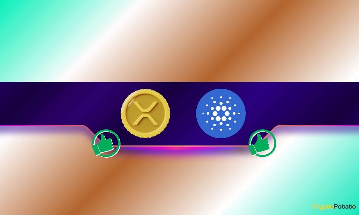 Here Are The Next Targets - SvetCrypto