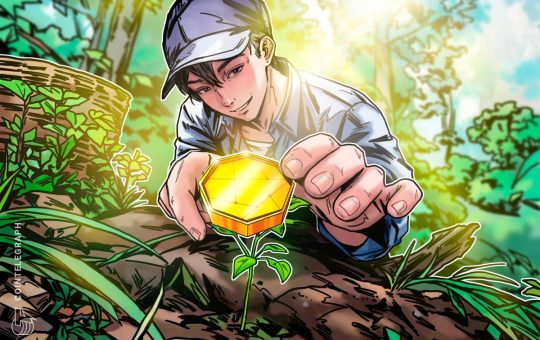 How to Spot the Next Big Crypto Gem in 2025