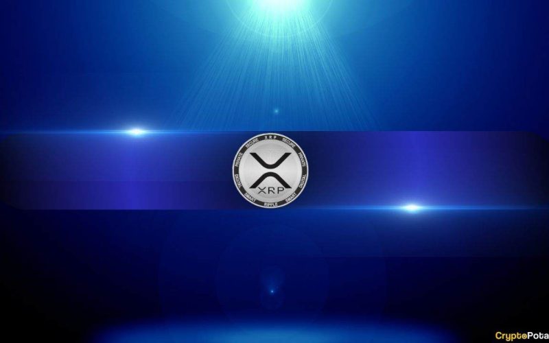 Should Bitcoin Maxis Sweat XRP's Growing Influence?