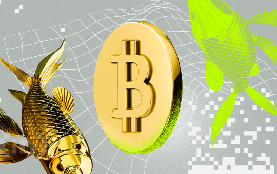 Gold Surges While Bitcoin Slips as Iran Threatens Retaliation