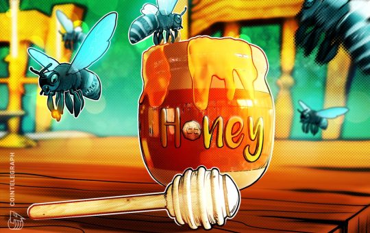 The Crypto Trap That Locks Your Funds Forever