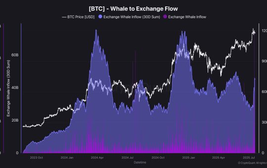 Bitcoin Whale to Exchange Flow - Source: CryptoQuant