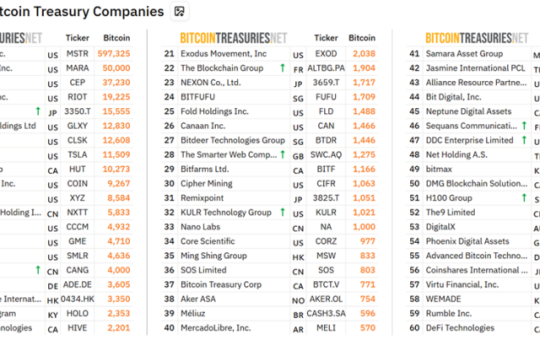 Top Public Bitcoin Treasury Companies