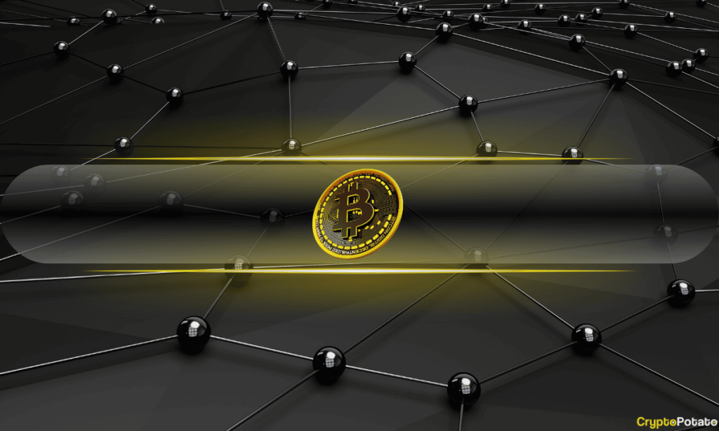 Bitcoin Risks Becoming a Settlement Layer With Nothing to Settle: Galaxy Sounds Alarm