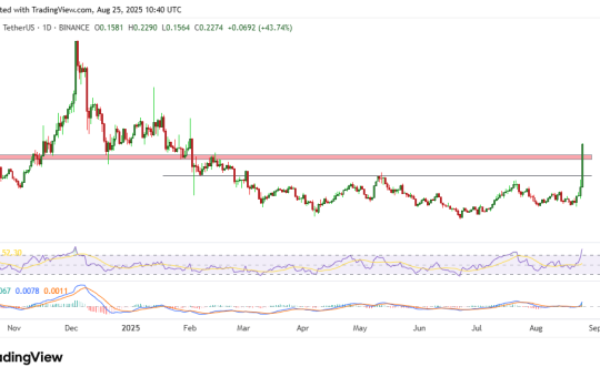 Ontology Price Chart