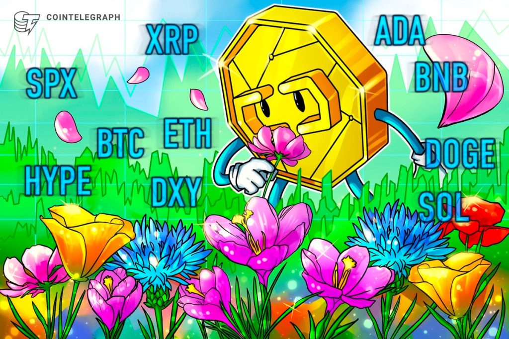 Bitcoin Liquidations Hit 1-Year Record, Altcoins Follow