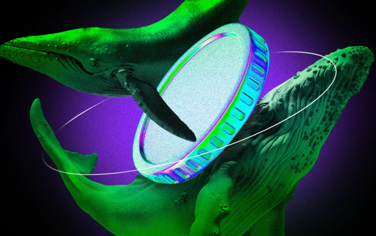 3 Underrated DEX Altcoins Whales Are Quietly Buying For October