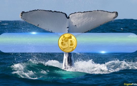 How Are DOGE Whales Reacting to Possible Dogecoin ETF? Santiment Weighs In