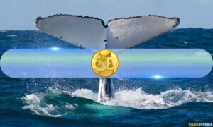Dogecoin (DOGE) Whales Quietly Accumulate as Holdings Hit Record Levels