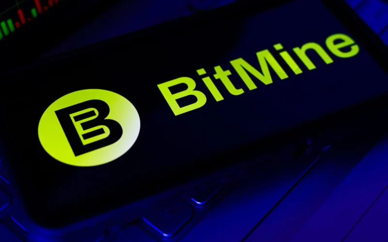 Bitmine Ethereum Holdings Reach 4.8% of Total ETH Supply