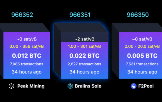Solo Bitcoin Miner Hits $244K Jackpot After Nearly 40-Day Drought